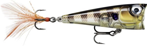 Rapala X Light Pop 04 FNP04 Popper 4,5g 4,5cm 12 Farben