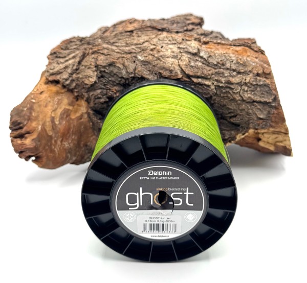 Delphin GHOST 4+1 grün 0,18mm 9,1kg je 10m geflochtene Schnur Sinkend