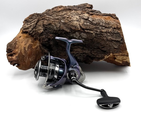 Daiwa 24 Regal LT Spinnrolle 1000 2000 2500 3000 4000 5000