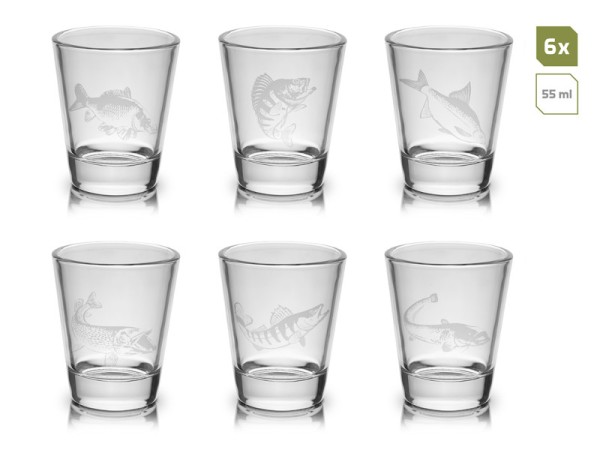 Delphin SHOTY 6in1 Gläser Set mit Fischmotiven Geschenkbox