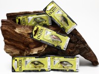 Spro Ikiru Mini Crank 38F SL SH Short Lip Single Hook 3,8cm 4,0g 0,5m SALE Spro Ikiru Mini Crank 38F SL SH Short Lip Single Hook 3,8cm 4,0g 0,5m SALE