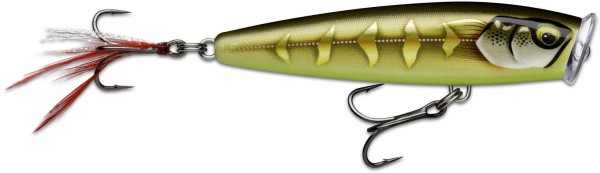 Rapala Skitter Pop Elite 75 7,5cm 10g Popper Oberflächenköder