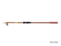 Delphin QUEEN Tele 3,00m 100g 6tlg. Teleskoprute