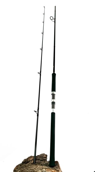 Shimano Rod Salty Advance Shore Jigging S96MH Spinning 2,90m 60-80g