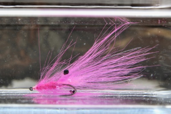 Seatrout Fur Schrimp Magenta Handgebunden Meerforellenfliege Springerfliege