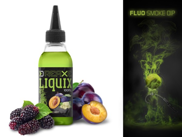 Delphin D SNAX LiquiX Fluo Dip 100ml 4 Aromen