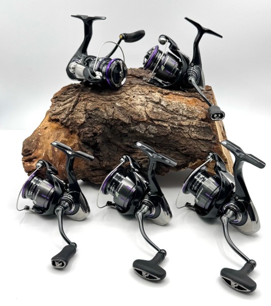 Daiwa 25 Prorex V LT Spinnrolle Zaion V 2000 2500 3000 4000