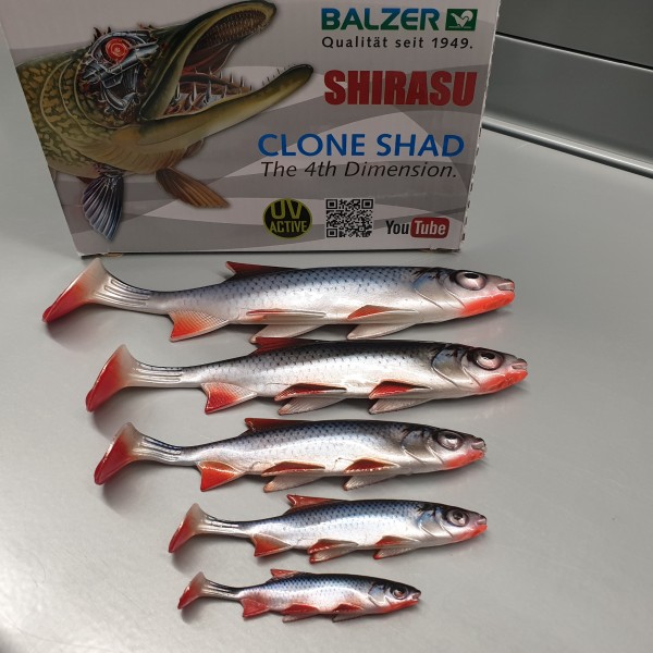 Balzer Shirasu Clone Shad Roach 6,5cm 9cm 12cm 15cm 18cm