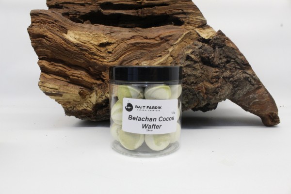 Bait Fabrik High Attraction Belachan Cocos Wafter 20mm 24mm