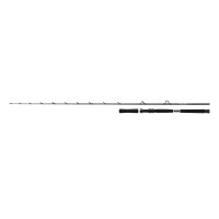 Shimano Beastmaster BX Boat 2,29m 20-30lb