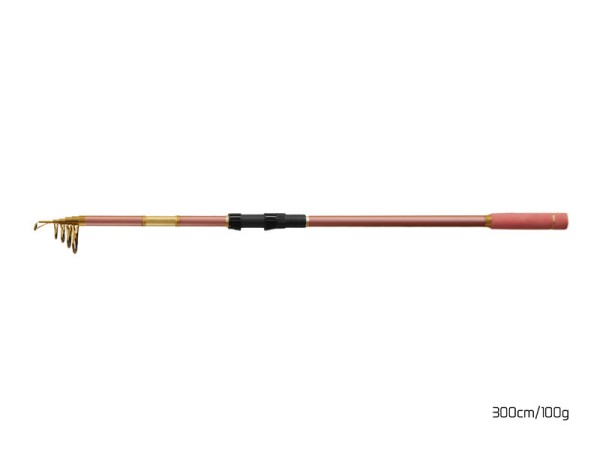 Delphin QUEEN Tele 3,00m 100g 6tlg. Teleskoprute