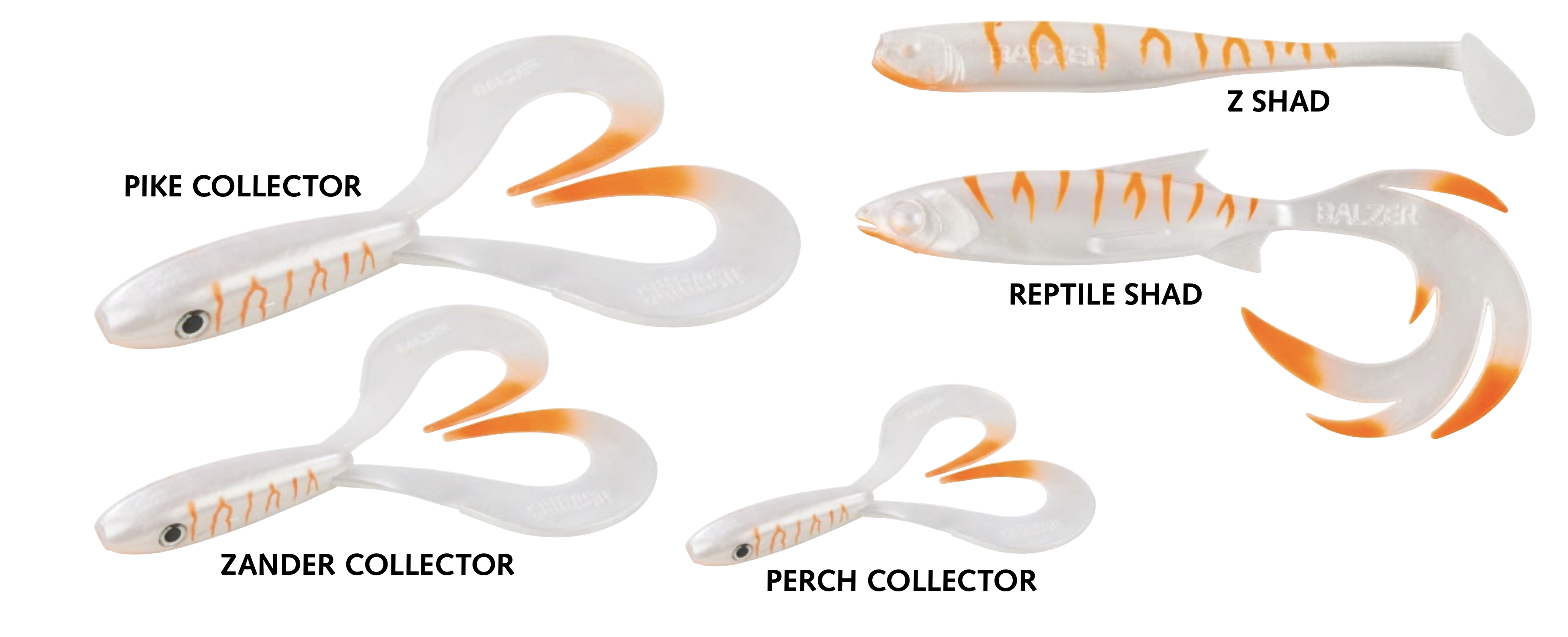 Balzer Albino Sonderfarbe Matze Koch Pike Zander Perch Collector Reptile Z Shad 
