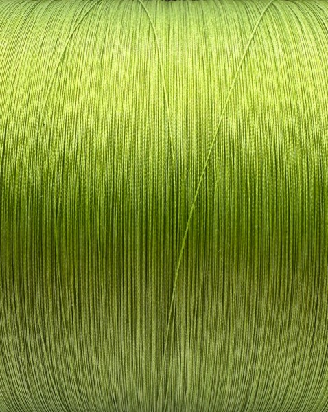 Delphin GHOST 8+1 grün 0,18mm 9,1kg je 10m geflochtene Karpfenschnur sinkend