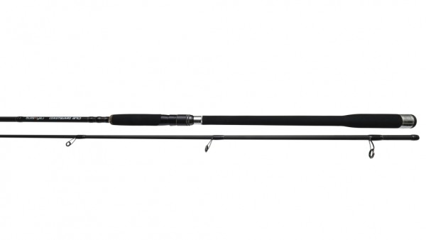 Bullseye Coastguard 310 10-45g 3,10m Meerforellenrute Seatrout Rod NEW OVP