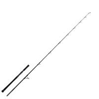 Zeck Wels EVO Cat Vertic 190 1,90m 180g SALE