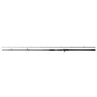 Nays NXT BTSD Casting 2,90m 150–400g Big Bait Rute