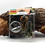 Balzer Shirasu Free Rig Set Gr.1/0 45cm Fluorocarbon Ø 0,25mm 7cm 10g Blei Balzer Shirasu Free Rig Set Gr.1/0 45cm Fluorocarbon Ø 0,25mm 7cm 10g Blei