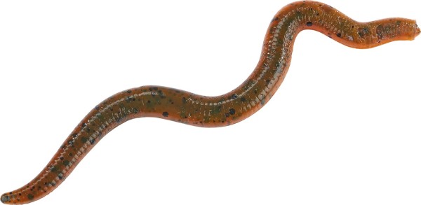 Balzer Shirasu Street Wiggle Worm 8cm Floating Wurm 5 Farben