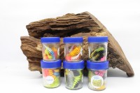 Balzer Trout Collector Forellenwürmer 4 Mixe 5cm 7cm Süßer Käse SALE Balzer Trout Collector Forellenwürmer 4 Mixe 5cm 7cm Süßer Käse SALE