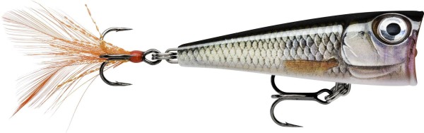 Rapala X Light Pop 04 FNP04 Popper 4,5g 4,5cm 12 Farben