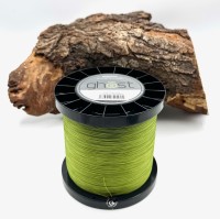 Delphin GHOST 8+1 grün 0,18mm 13,6kg je 10m geflochtene Karpfenschnur sinkend