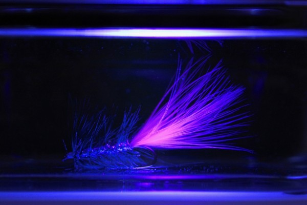 Seatrout Blue Borsten Handgebunden Meerforellenfliege für das Frühjahr