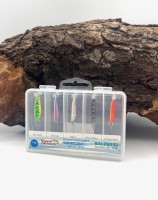 Balzer Swindler Spoon Sortiment Special Edition 5 Forellenblinker 3cm 2,3g Balzer Swindler Spoon Sortiment Special Edition 5 Forellenblinker 3cm 2,3g