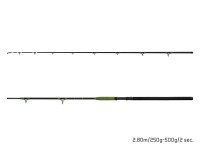 Delphin ENERGY Catfish 2,80m 250-500g Wg 2-teilig Welsrute