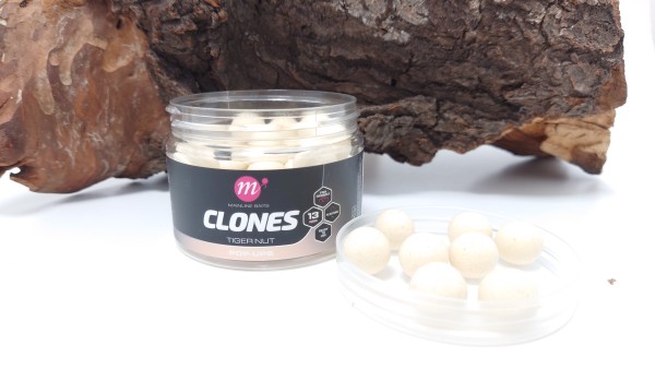 Mainline Clones Pop Ups 13mm Hemp Maple Sweetcorn Tiger Nut