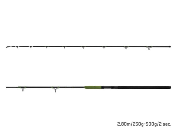Delphin ENERGY Catfish 2,80m 250-500g Wg 2-teilig Welsrute