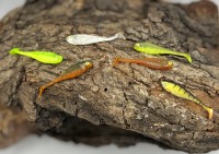 Balzer Shirasu Street Köder Punker Serie 6 Farben 6cm Streetfishing Balzer Shirasu Street Köder Punker Serie 6 Farben 6cm Streetfishing