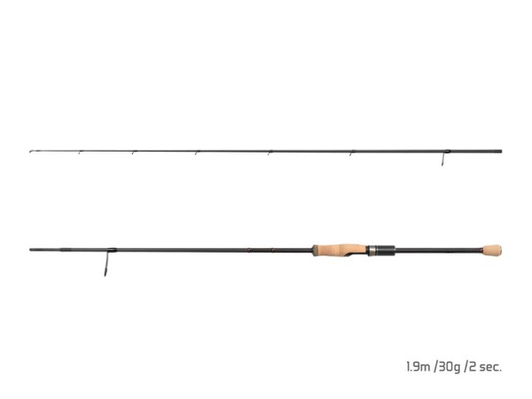 Delphin RaveX 1,90m 30g Premium Raubfischrute 40T Carbon 2tlg