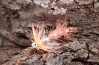 Seatrout Polar Magnus Pink Salmon Handgebunden Meerforellenfliege Winterfliege Seatrout Polar Magnus Pink Salmon Handgebunden Meerforellenfliege Winterfliege