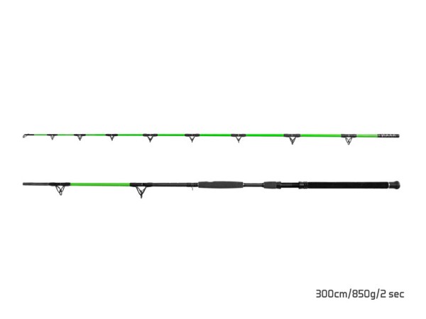 Delphin WALKYRA 3,00m 850g Wg 2-teilig Welsrute