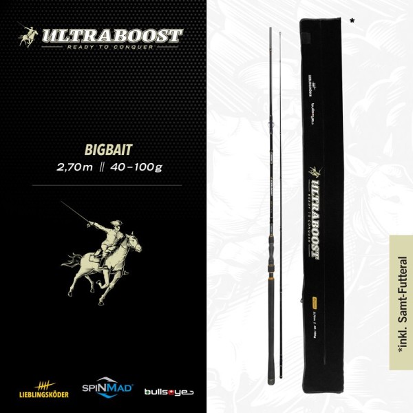 Lieblingsköder Bullseye Ultraboost Bigbait 2,70m 40-100g Hechtrute