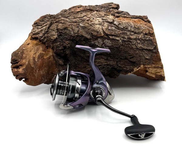 Daiwa 24 Regal LT Spinnrolle 1000 2000 2500 3000 4000 5000