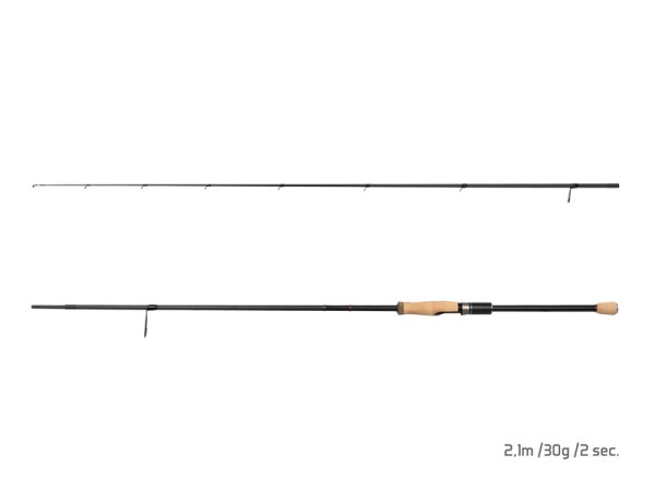 Delphin RaveX 2,10m 30g Premium Raubfischrute 40T Carbon 2tlg