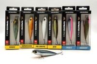 Lieblingsköder Topwater Pencil 8,5cm 16 Farben