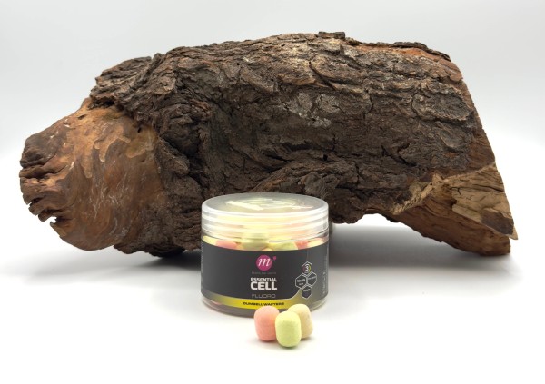 Mainline Fluoro Dumbell Wafters 12x15mm Pink Gelb Weiß 150ml Dose