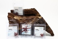 Balzer Camtec Speci Meeresdrilling rot Gr. 1 2 4 6 8 10 1/0 2/0 SALE Balzer Camtec Speci Meeresdrilling rot Gr. 1 2 4 6 8 10 1/0 2/0 SALE