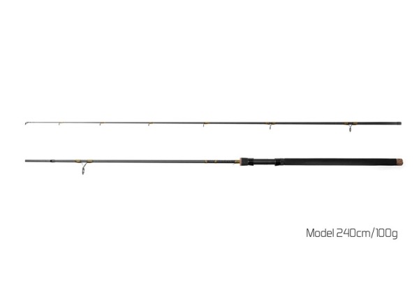 Delphin MURENA 2,40m 100g Wg 2tlg.