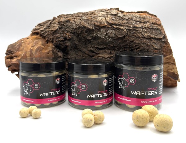 Nash Citruz Wafters Boilies 12mm 15mm 20mm 100g Dose