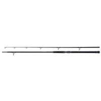 Shimano Beastmaster AX Catfish Static Welsrute 3,00m 400g SALE