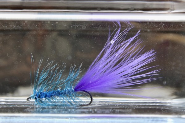 Seatrout Blue Borsten Handgebunden Meerforellenfliege für das Frühjahr