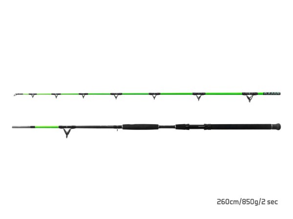 Delphin WALKYRA 2,60m 850g Wg 2-teilig Welsrute