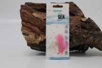 Balzer Edition Sea Wittling Makrelen System Pink Balzer Edition Sea Wittling Makrelen System Pink