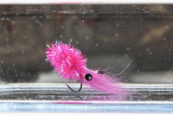 Seatrout Mullky Shrimp Hot Pink Handgebunden Meerforellenfliege Winterfliege