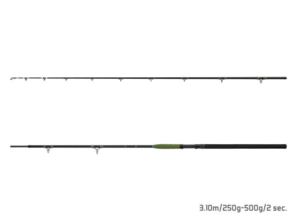 Delphin ENERGY Catfish 3,10m 250-500g Wg 2-teilig Welsrute