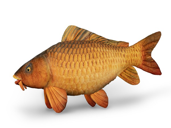 Delphin Plüschkarpfen CARPY 60cm Kuscheltier
