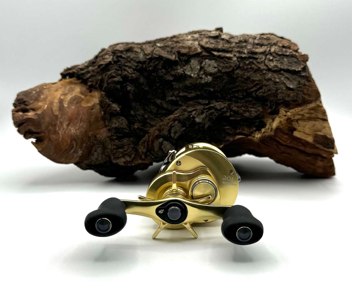 Shimano Calcutta Conquest 201A LH Linkshand The NEW Model OVP